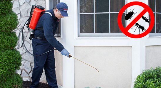 Hendek Akrep İlaçlama böcek ilaçlama ve haşere kontrolü — ilaclama-tr.com